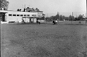 nerudova (14)